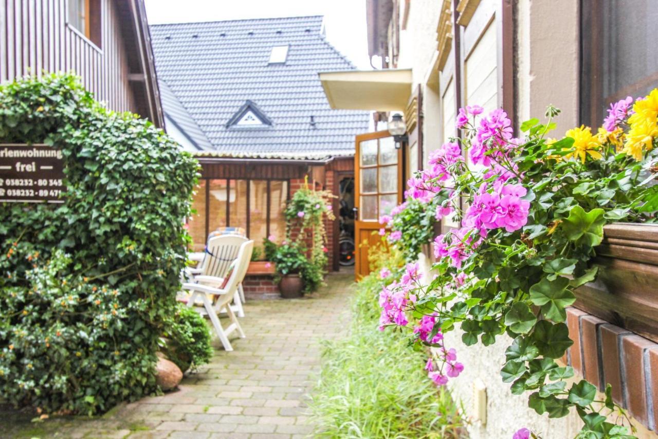 Likedeeler 3 Διαμέρισμα Zingst Εξωτερικό φωτογραφία