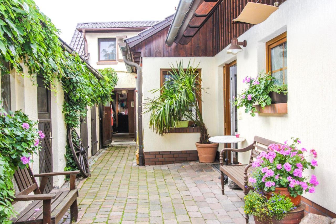 Likedeeler 3 Διαμέρισμα Zingst Εξωτερικό φωτογραφία